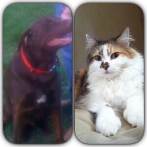 Meet your Posher, Stephan